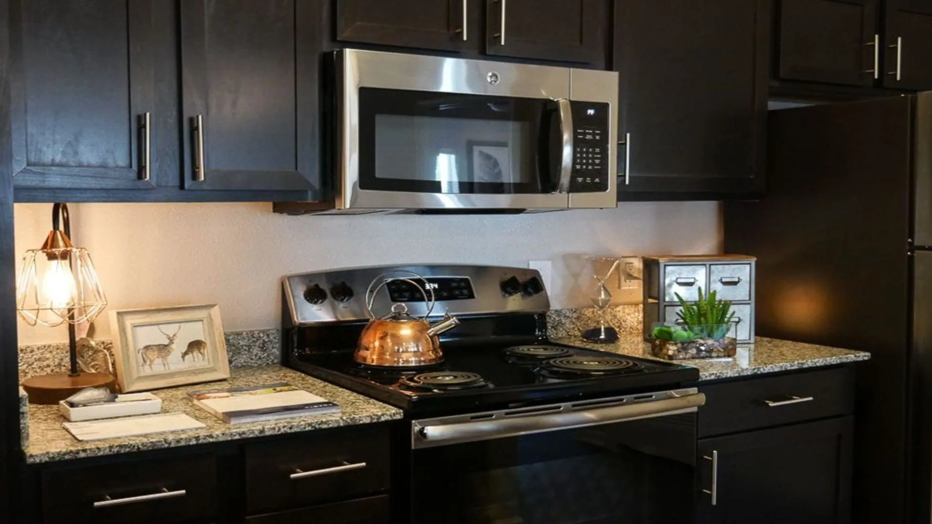 kitchen with black cabinets and stainless steel appliances at The Biltmore at  Park